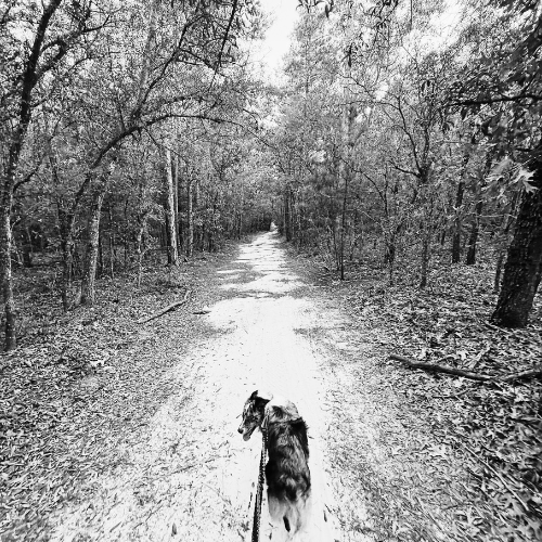 Neeli walking her dog near the beach