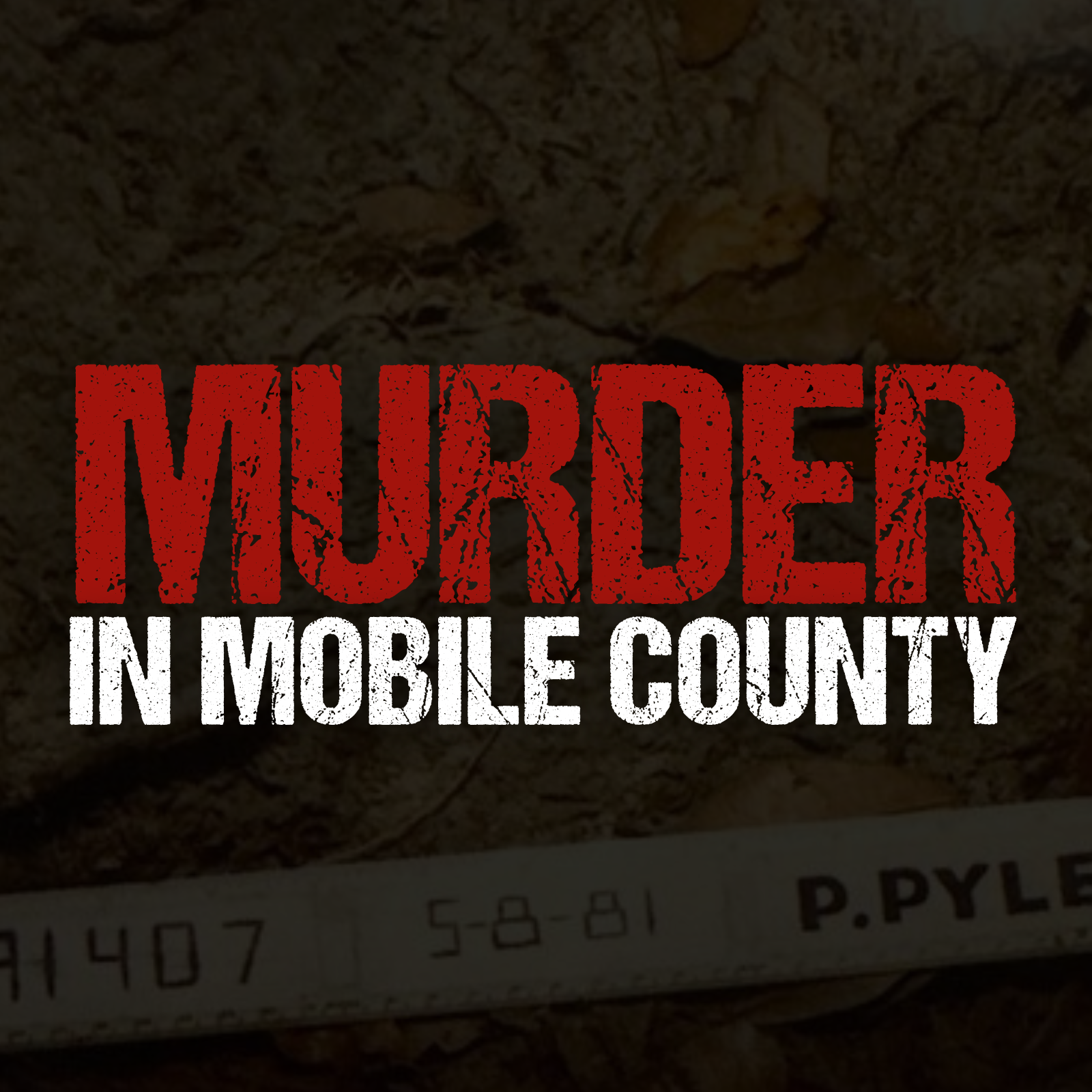Murder in Mobile County artwork
