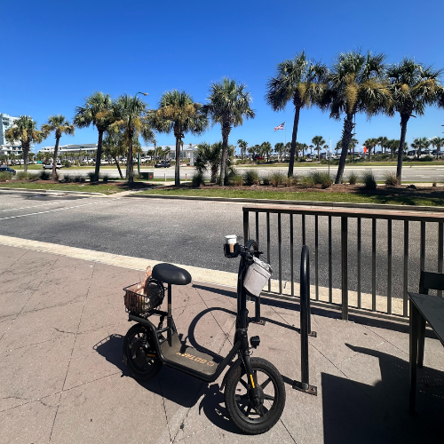 coastal cruising